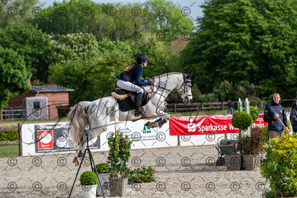 KPT_7976 | andre_photographic