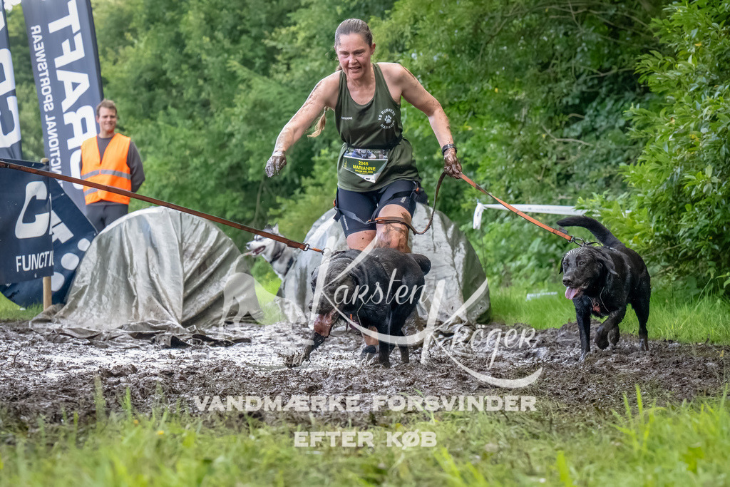 1156_ZZ90434-Bearbeitet | kk-dogfotos