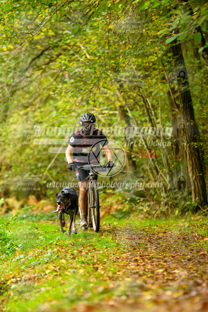 MompixPhotography_20TSB_E1_Doppel-36 | PayLife