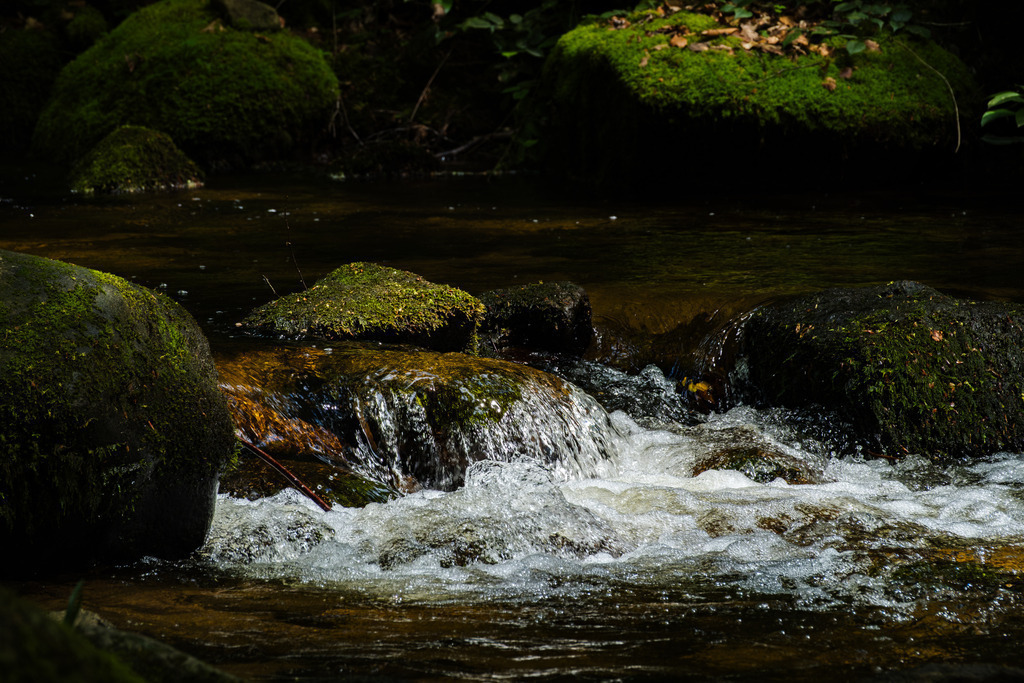 DSCF6146-3 | Tier- & Landschaftsfotografie und Porträtshootings. Entdecke einzigartige Fotokunst als Wandbild, Tasse oder Mauspad – mit Leidenschaft fotografiert - Realisiert mit Pictrs.com