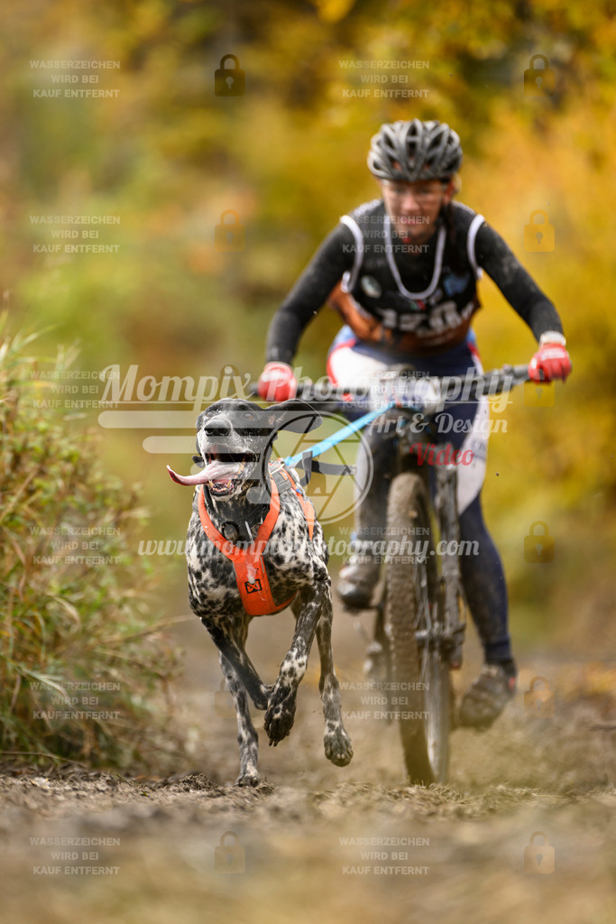 MompixPhotography_ICF_WC_2024_SA_Bike_-116 | PayLife