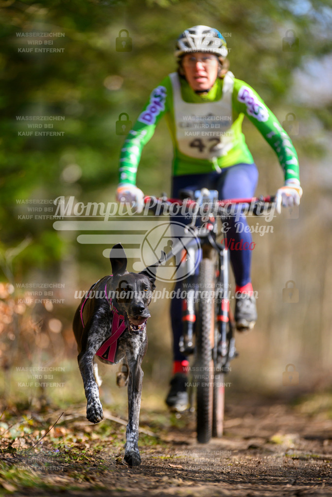 MompixPhotography_ReiatRennen2024_Bike1H-34 | PayLife