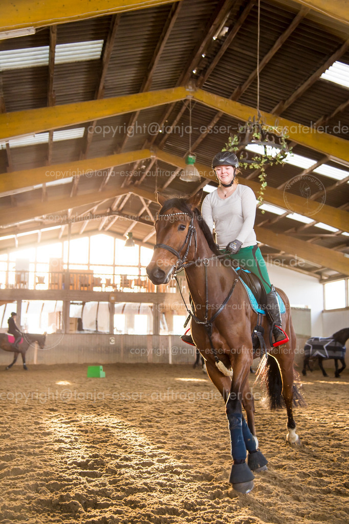 Riding in the riding hall | Junge Frau reitet auf ihrem Pferd in der Reithalle. Im Hintergrund sind mehrere unscharfe Pferde und Reiter zu sehen. Die Reiterin trabt auf ihrem Hannoveraner. Sie lächelt. Die junge Frau trägt typische Reitkleidung und einen Reithelm.

