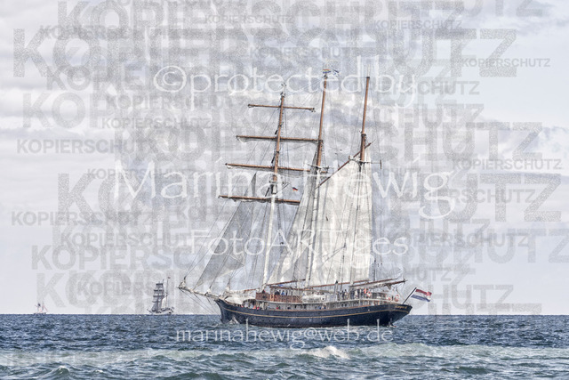 Golden Leeuw_Marina Hewig | Fotografie, FotoArt, PferdesportArt, Pferdesportfotografie, Landschaftsfotografie, Reisefotografie, Reise, Pferde - Realisiert mit Pictrs.com