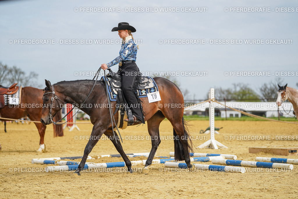 DSC03608 | Pferdegrafie