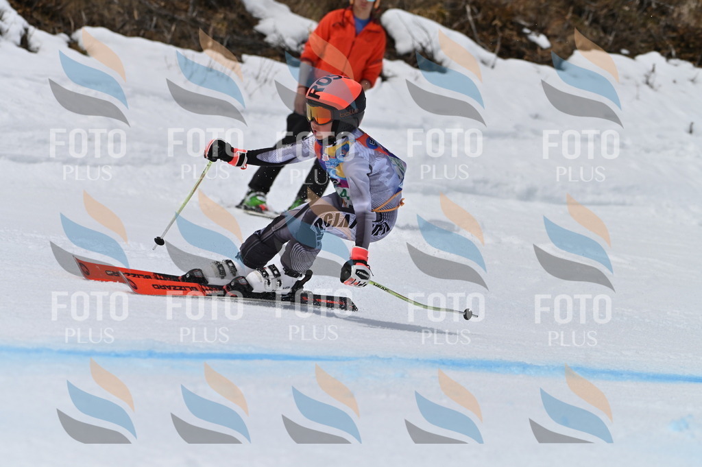 BGV_5041 | holidayphoto