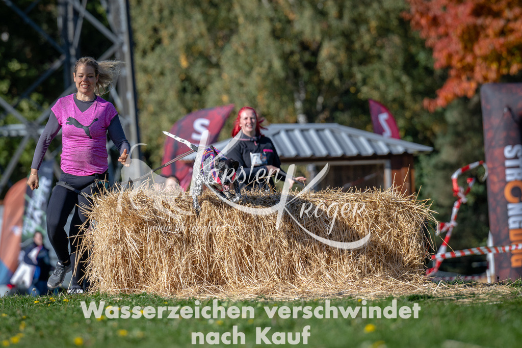 1130_ZZ90341 | kk-dogfotos