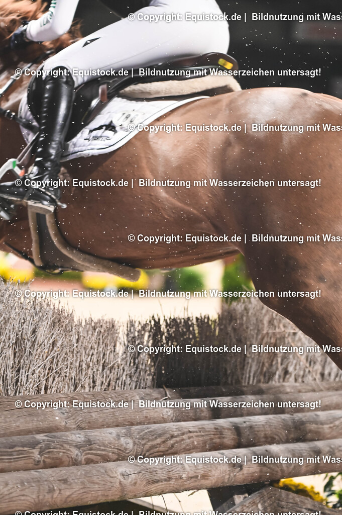 20251112_Indoor-Derby_TOMSPIC_0081 | Foto: Thomas Hartig