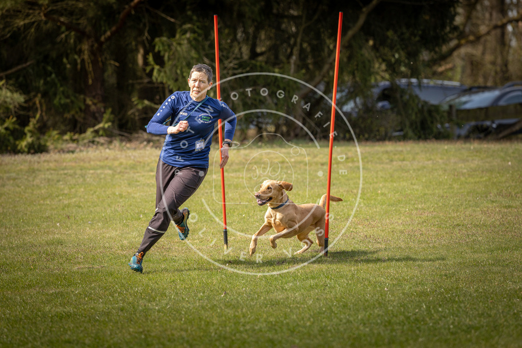 Pfotenfotografie_DV3A9708 | Hundefotografie, Tierfotograf, Pfotenfotografie, Fotoshooting Hund, Hunde Portrait, Hundesport, Hundeportraits, Heideshooting, Hunde, Sportfotograf, Hundefotograf, Turnierhundsport, THS,  - Realisiert mit Pictrs.com