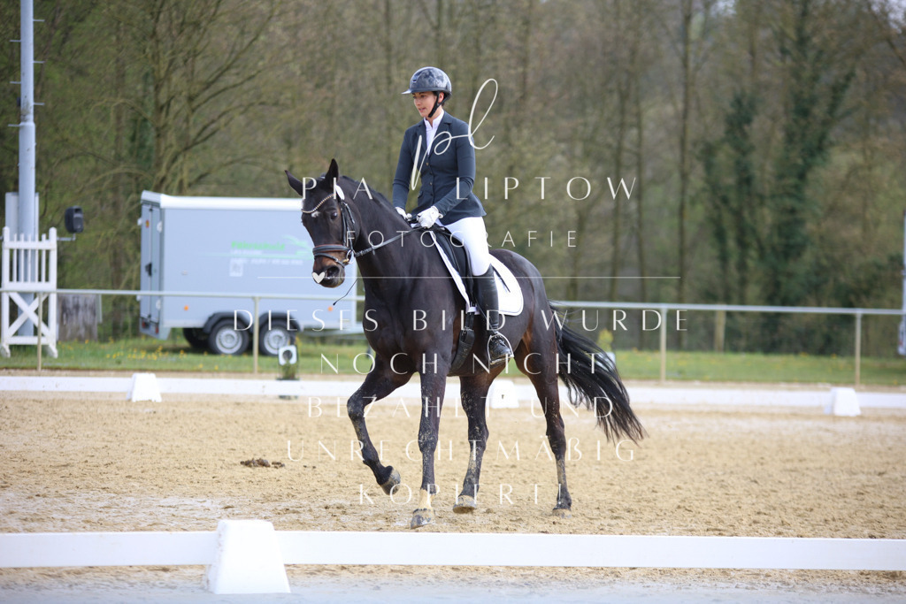 IMGT6393 | pl-fotografie