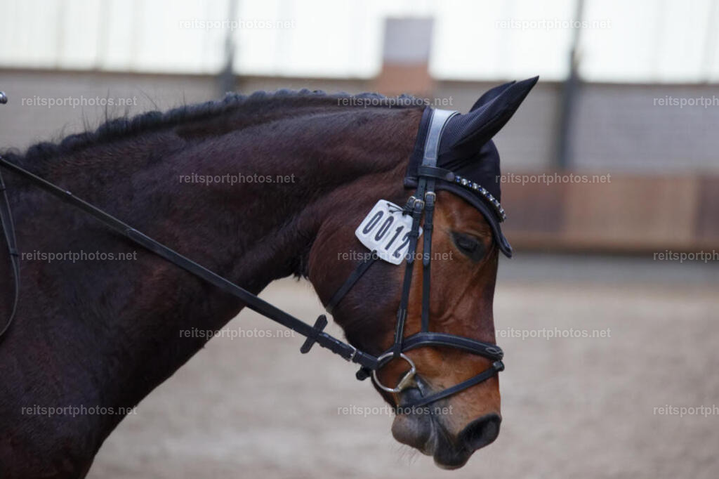 JHE_6221 | JoYa Fotografie - Realisiert mit Pictrs.com