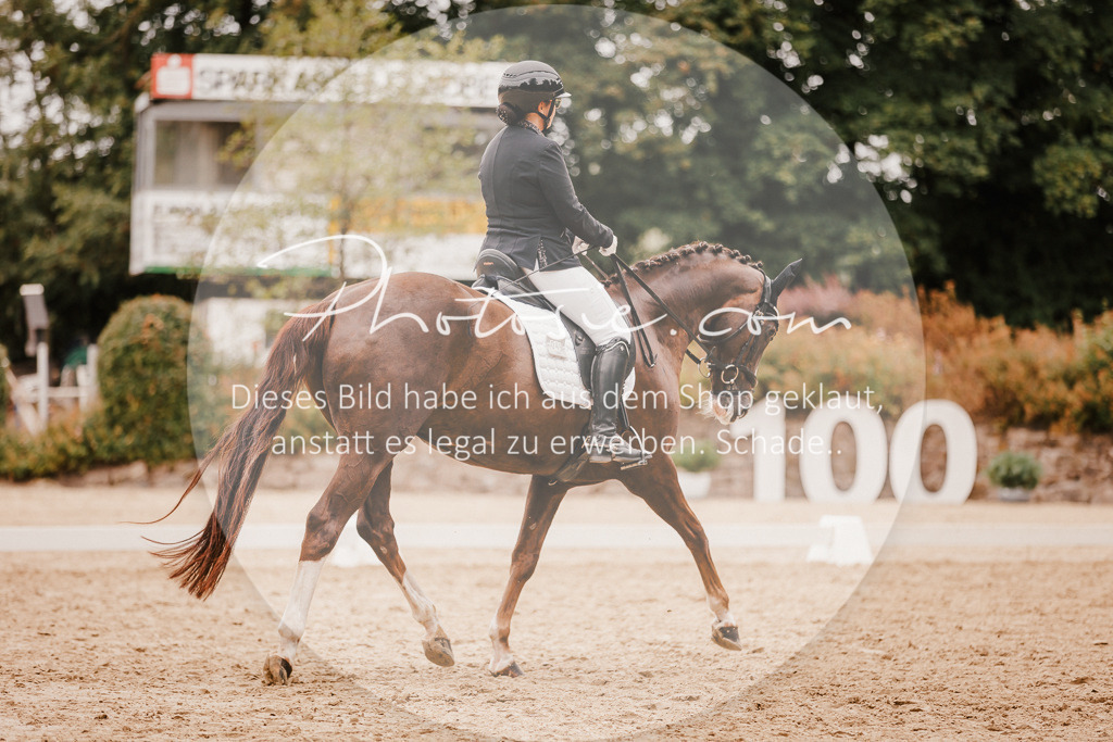 3I6A5888 | Stimmungsvolle Portraits und Reitsportfotografie im Ruhrgebiet und im Münsterland.

Pferdefotografie, Hundefotografie, Tierfotografie, Reportagen, Portraits von Tier und Mensch, Turnierfotografie in Bochum, Recklinghausen, Marl, Haltern am See, Dülmen.. - Realisiert mit Pictrs.com