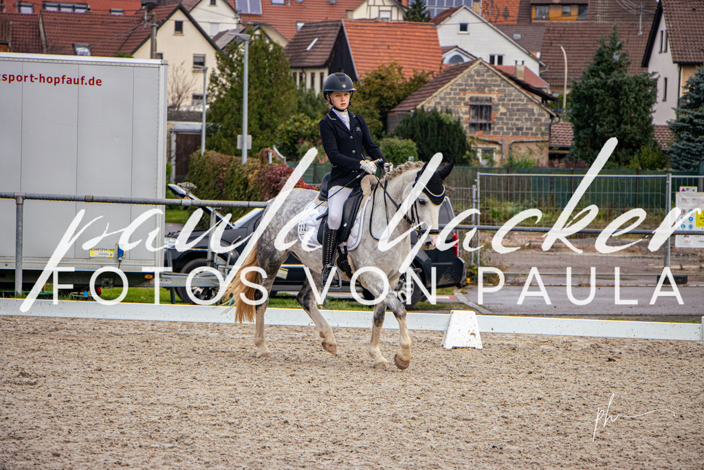 IMG_7159 | Erleben Sie dynamische Sport- und emotionale Tierfotografie in Süddeutschland mit Fotos von Paula. Spezialisiert auf Pferde- und Hundefotografie sowie Sportevents. Kontaktieren Sie mich für einzigartige und ausdrucksstarke Bilder Ihrer besonderen Momente. - Realisiert mit Pictrs.com