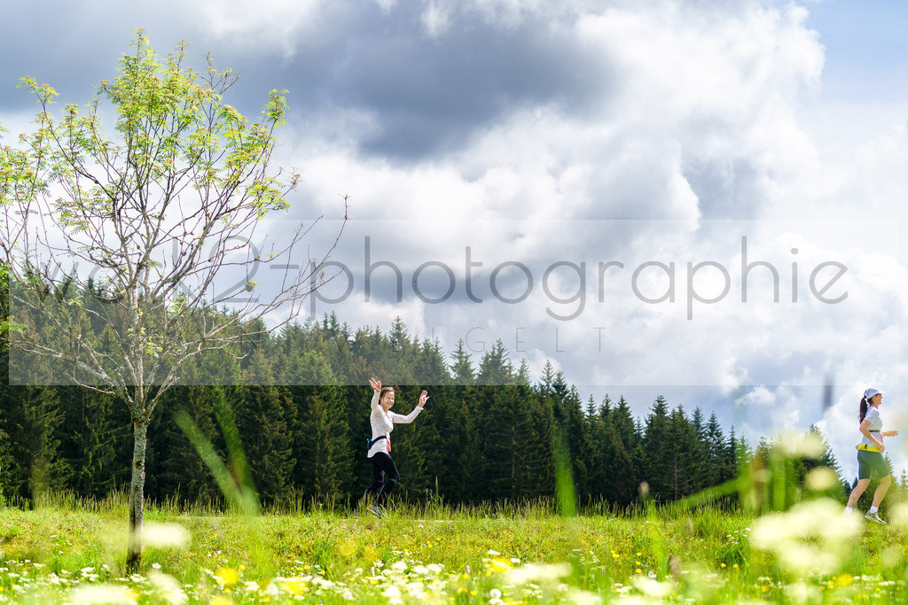 Rennsteiglauf Marathon 2024 | 25. Mai 2024 - 42,2 km von Neuhaus nach Schmiedefeld