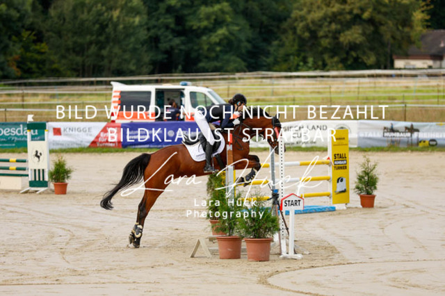 _62_8936 | larahueckfotografie