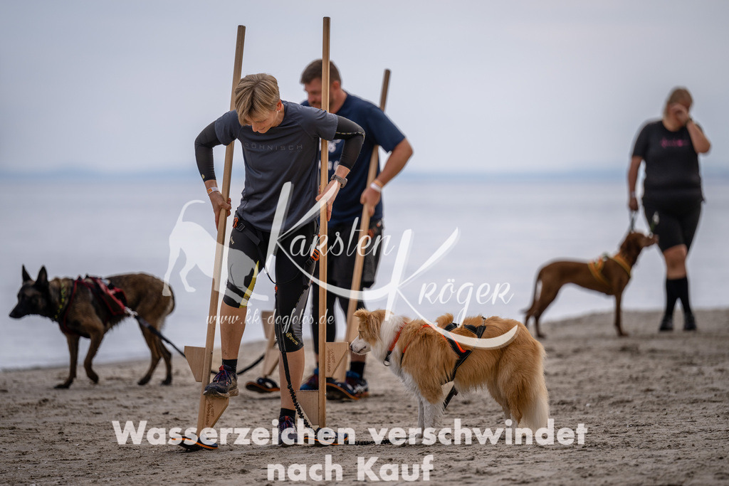 1215_ZZ90481 | kk-dogfotos