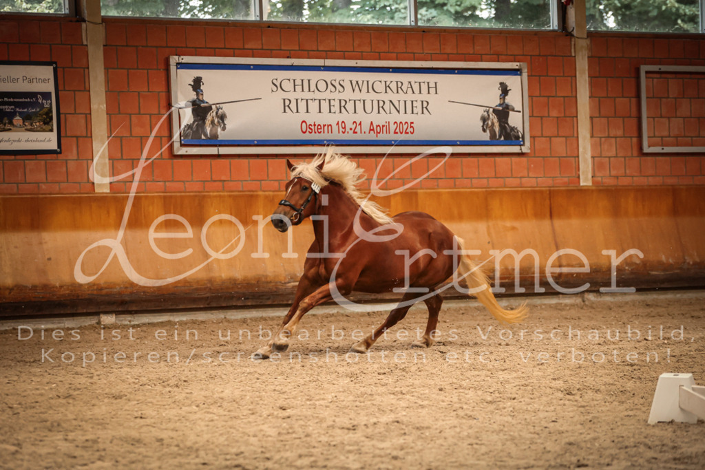 SaFL00491 | Leoni Ertmer Photography - Realisiert mit Pictrs.com