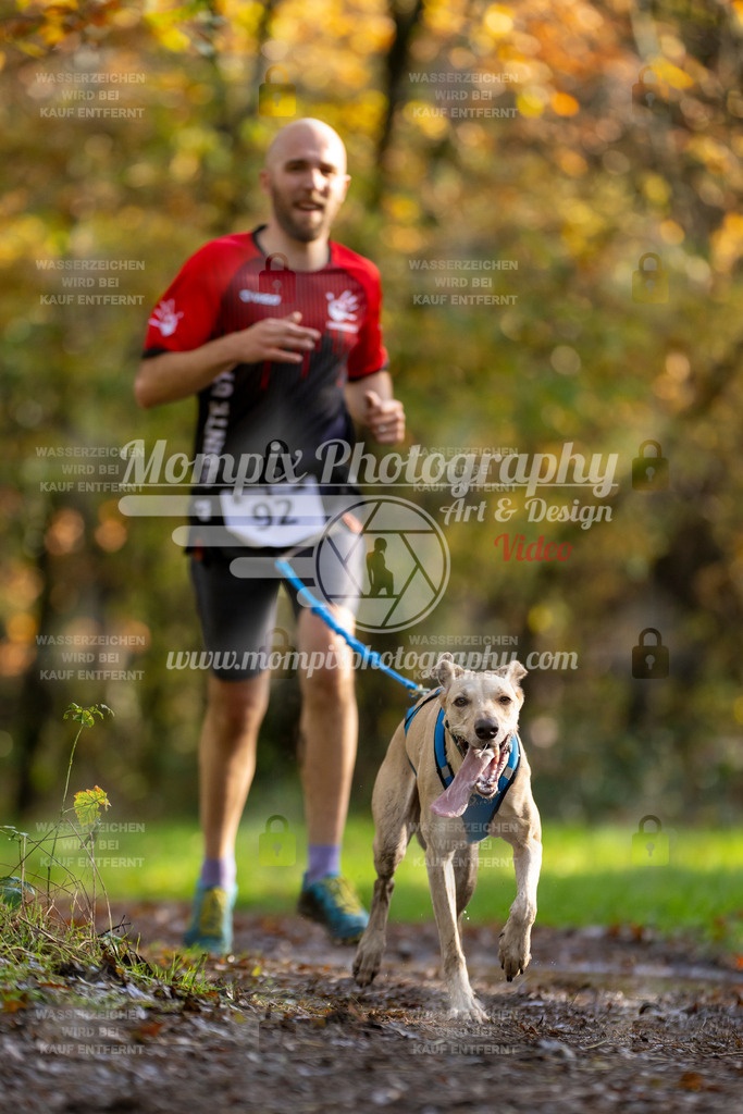 MompixPhotography_Bischwiller23_Canicross-30 | PayLife