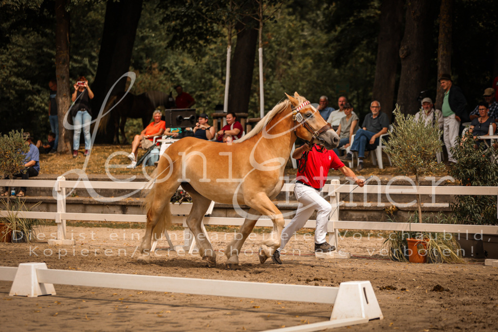 3.Sa00035 | Leoni Ertmer Photography - Realisiert mit Pictrs.com