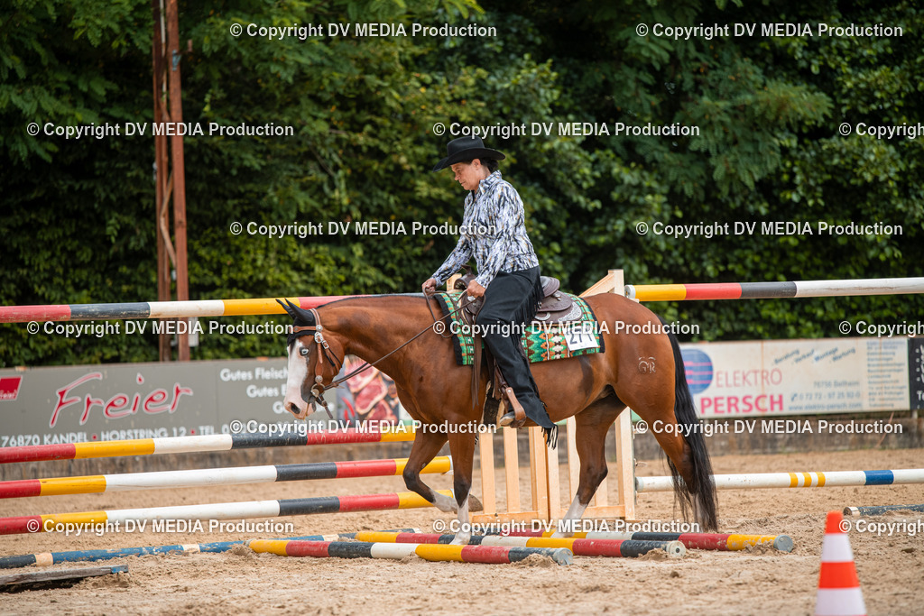 ZS2_7778 | dv-media-shop - Realisiert mit Pictrs.com