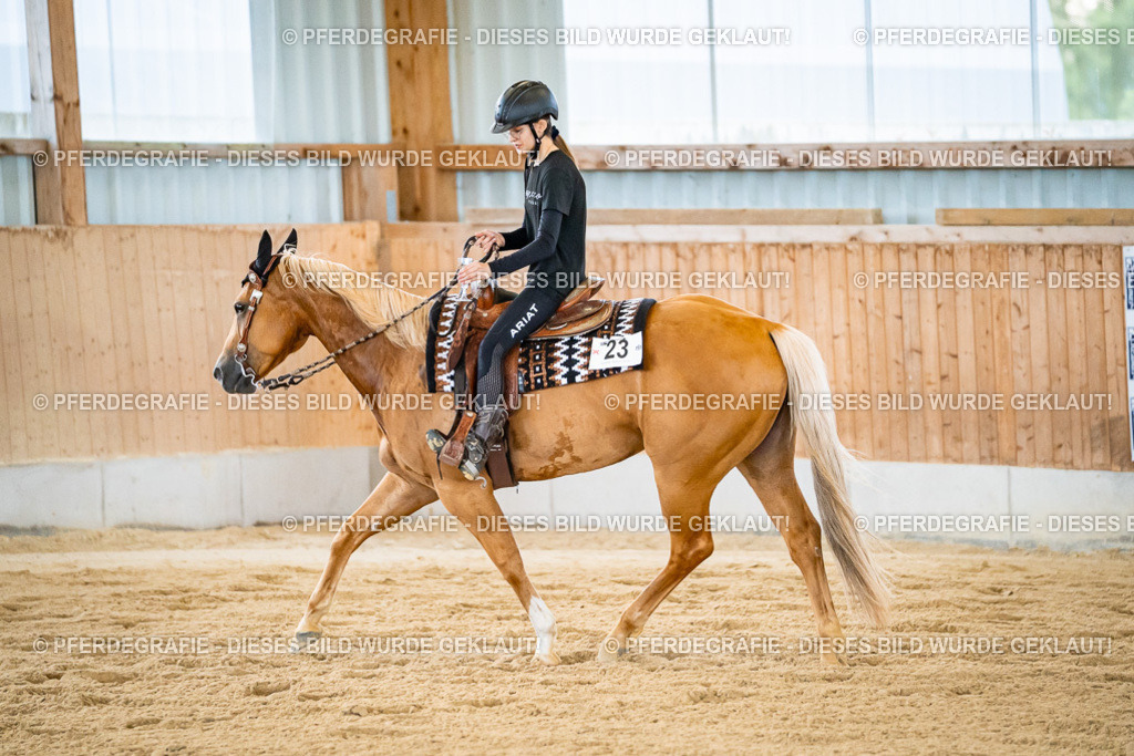 DSC09133 | Pferdegrafie