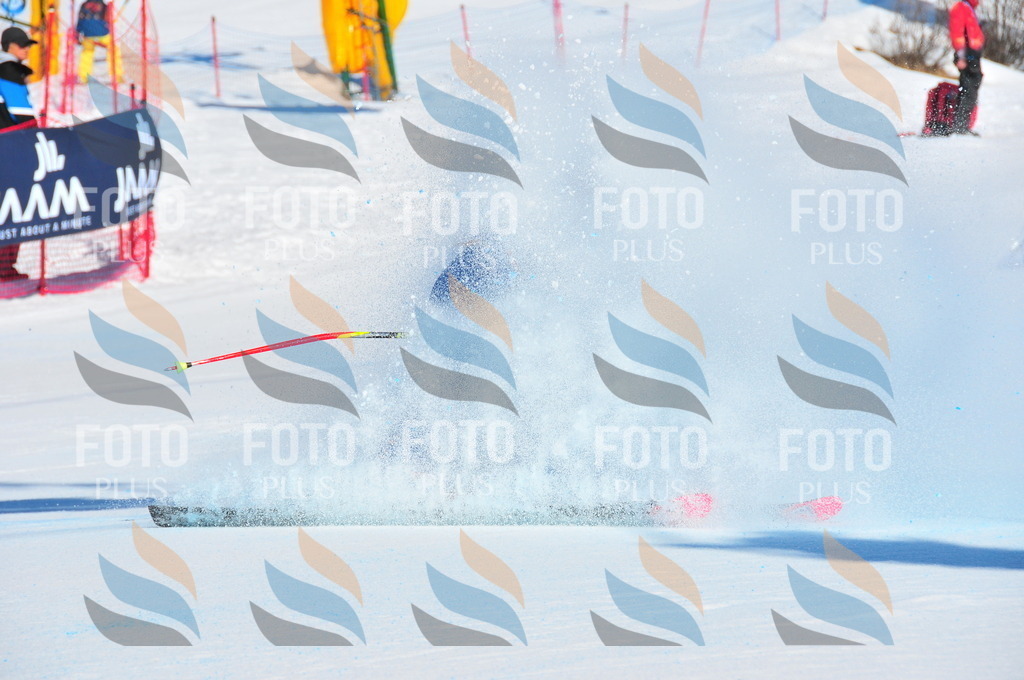 DSC_3733 | holidayphoto