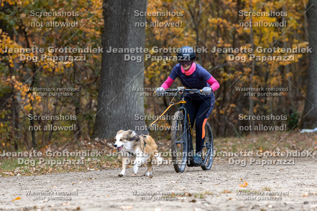 Dog Paparazzi - SD CaniX Championship 2025-570 | Dog Paparazzi Jeanette Grottendiek Fotografie & Videografie - Realisiert mit Pictrs.com