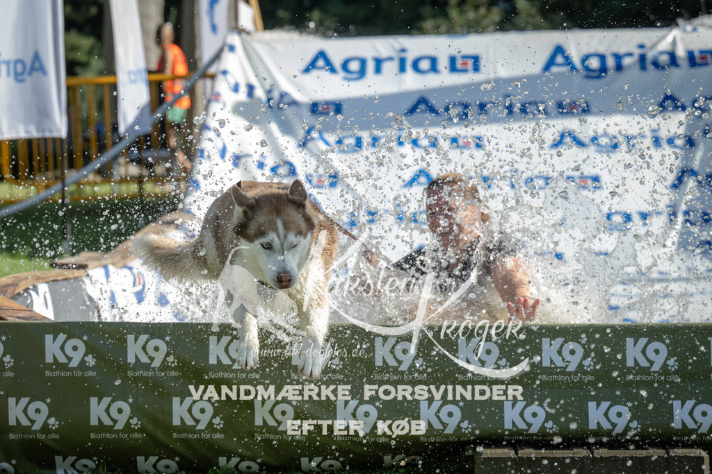 0958_ZZ97514 | kk-dogfotos