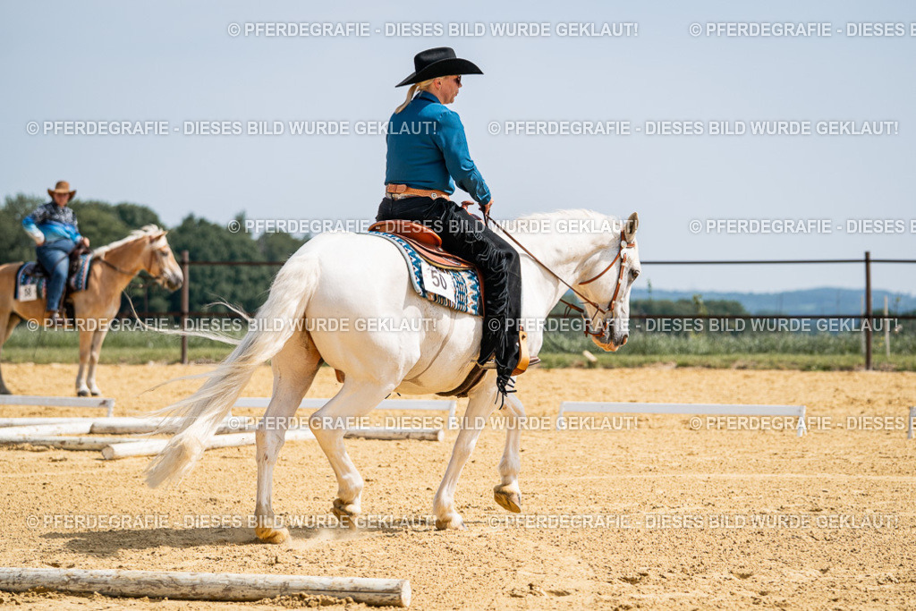 DSC00115 | Pferdegrafie