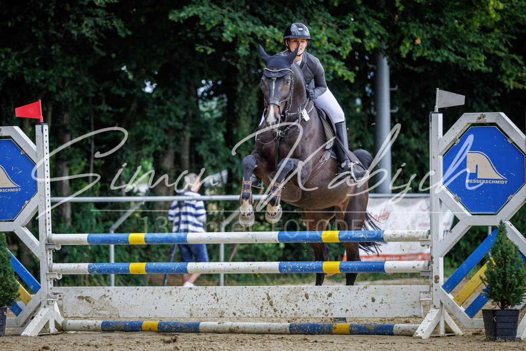 20260705-_3LI5033 | Tierfotografie Pferde, Hunde, Katzen, Haustiere.
Turnierfotografie Reitturniere, Reiten, Springreiten, Dressur in Hanau, dem Main-Kinzig-Kreis und dem Rhein-Main- Gebiet um Frankfurt