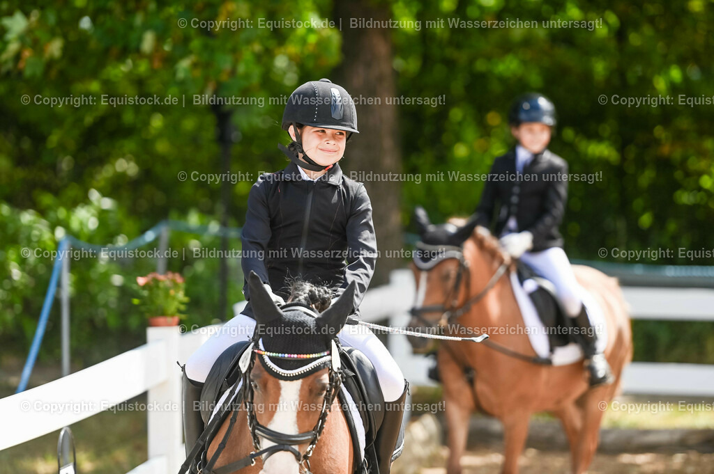 20230716_10-3_Reiter-WB Schritt - Trab - Galopp_0011 | equistock