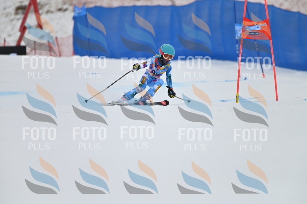 BGV_1017 | holidayphoto