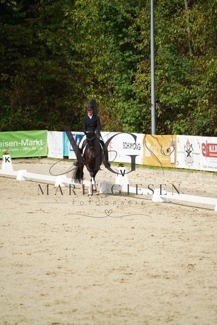 VAN02844 | Marie Giesen Fotografie - Realisiert mit Pictrs.com