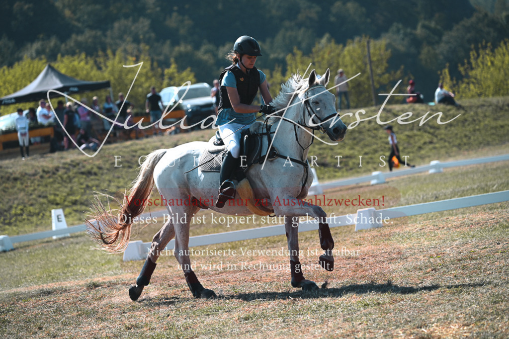 DSC_7962 | Pferde- und Turnierfotografie in Westsachsen. Pferdeportraits, Auftragszeichnungen und intuitive Kunst.