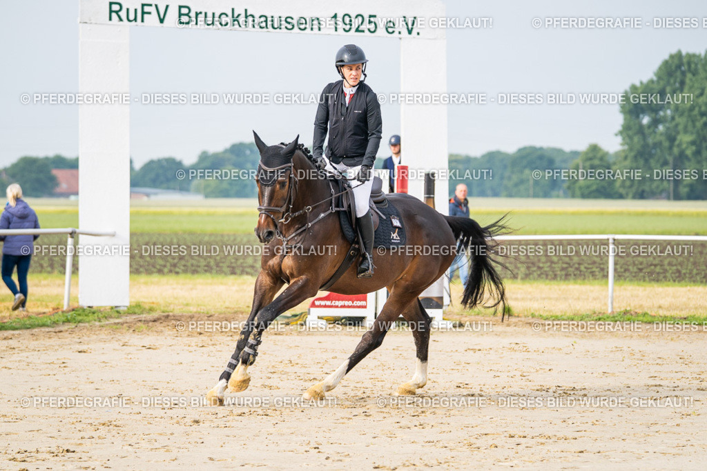 DSC08225 | Pferdegrafie