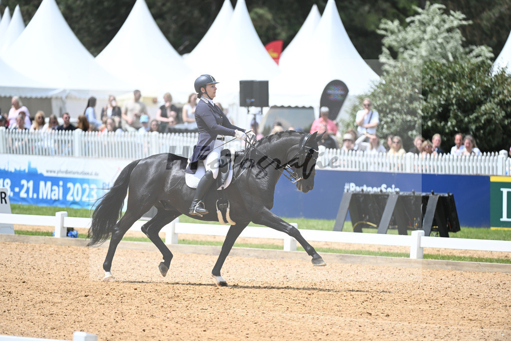 Borgmann-Reuter_Sanrico_11233640 | hf-fotografie - Realisiert mit Pictrs.com