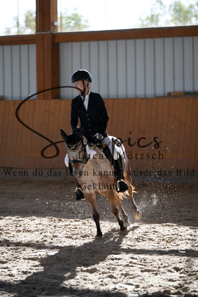 A7V01828 | Pferdefotograf