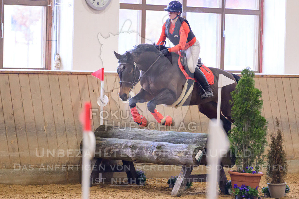 29032026-Schwaiganger-Prfg03-1-1419 | Fokus Hufschlag Fotografie - Realisiert mit Pictrs.com