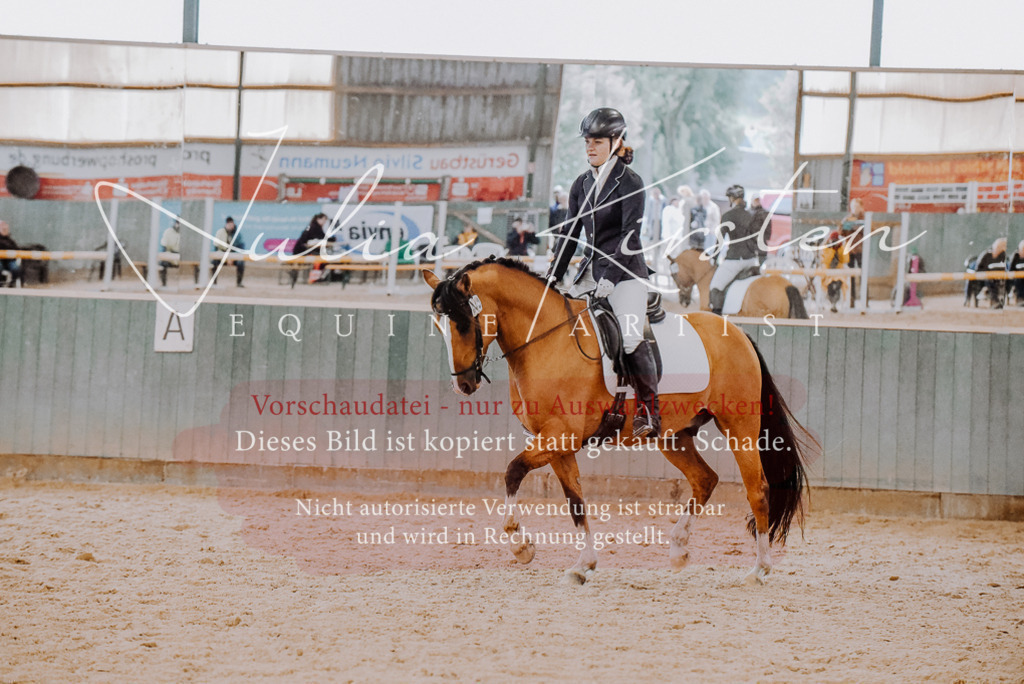 DSC_7613 | Pferde- und Turnierfotografie in Westsachsen. Pferdeportraits, Auftragszeichnungen und intuitive Kunst.