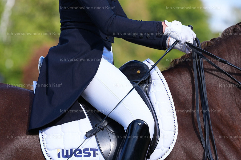 09_2-163-DRESSUR  S_  -Marixx-5932 | working equitationturnier fotograf videograf stoibphotography marixx film working equitation deutschland reitsport turnierfotografie eventfotografie equestrian events