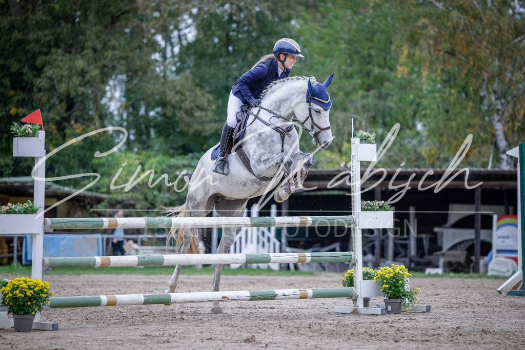 20251012-_3LI5078 | Tierfotografie Pferde, Hunde, Katzen, Haustiere.
Turnierfotografie Reitturniere, Reiten, Springreiten, Dressur in Hanau, dem Main-Kinzig-Kreis und dem Rhein-Main- Gebiet um Frankfurt