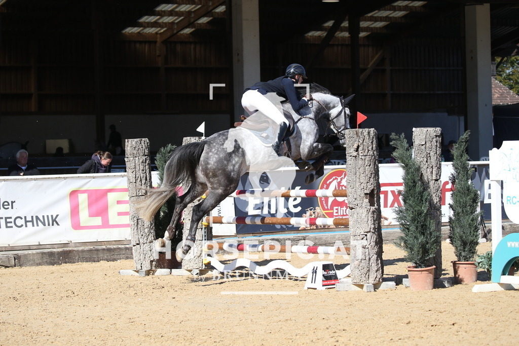 DL2Q2307 | Willkommen bei Brunnmayr - Design & Fotografie – Ihrem Spezialisten für Reitturniere und Pferdeveranstaltungen in Oberösterreich, Salzburg und Bayern! Seit über 17 Jahren sind wir leidenschaftlich dabei.