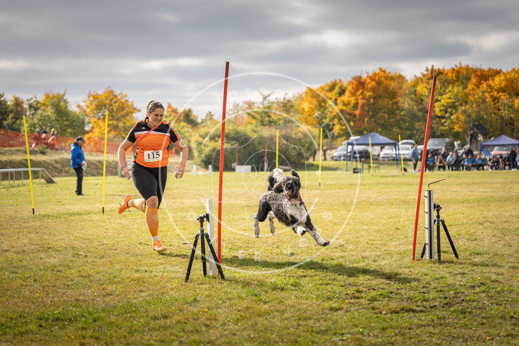 Pfotenfotografie_DV3A7049 | Hundefotografie, Tierfotograf, Pfotenfotografie, Fotoshooting Hund, Hunde Portrait, Hundesport, Hundeportraits, Heideshooting, Hunde, Sportfotograf, Hundefotograf, Turnierhundsport, THS,  - Realisiert mit Pictrs.com