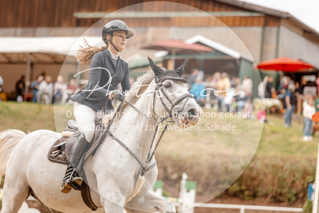 3I6A8129 | Stimmungsvolle Portraits und Reitsportfotografie im Ruhrgebiet und im Münsterland.

Pferdefotografie, Hundefotografie, Tierfotografie, Reportagen, Portraits von Tier und Mensch, Turnierfotografie in Bochum, Recklinghausen, Marl, Haltern am See, Dülmen.. - Realisiert mit Pictrs.com