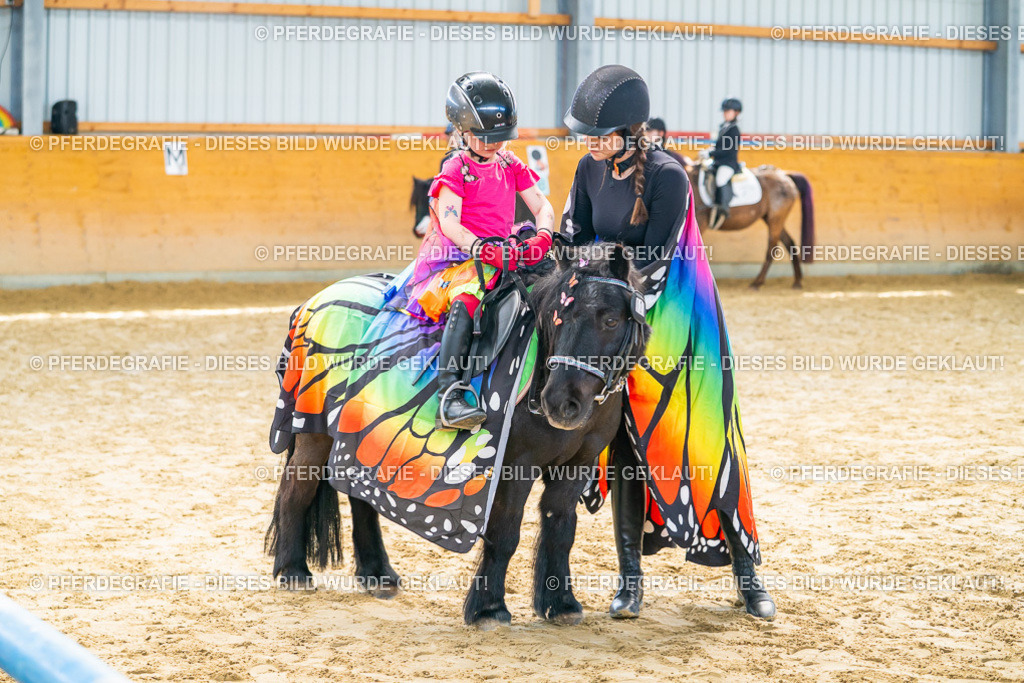 DSC00425 | Pferdegrafie