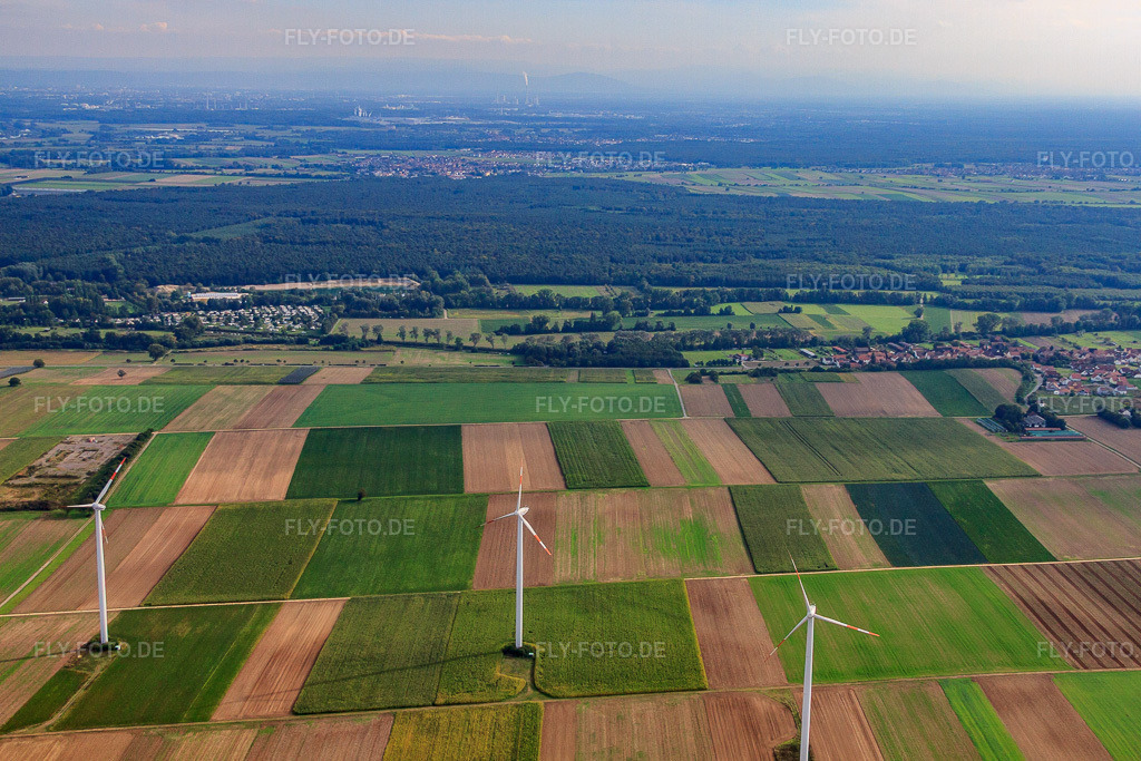 Luftbild: Windpark von Norden in Rülzheim im Bundesland Rheinland-Pfalz in Deutschland. Foto: IMG_59781.jpg vom 21.09.2013 durch Werner Riehm/FLY-FOTO.de