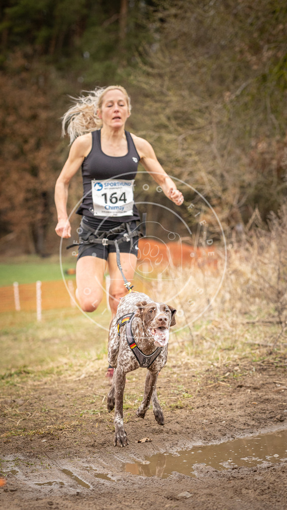 DV3A2044 | Hundefotografie, Tierfotograf, Pfotenfotografie, Fotoshooting Hund, Hunde Portrait, Hundesport, Hundeportraits, Heideshooting, Hunde, Sportfotograf, Hundefotograf, Turnierhundsport, THS,  - Realisiert mit Pictrs.com