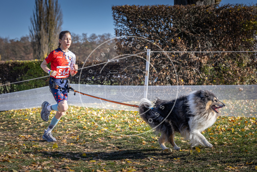 CaniXpix_DV3A8768 | Hundefotografie, Tierfotograf, Pfotenfotografie, Fotoshooting Hund, Hunde Portrait, Hundesport, Hundeportraits, Heideshooting, Hunde, Sportfotograf, Hundefotograf, Turnierhundsport, THS,  - Realisiert mit Pictrs.com