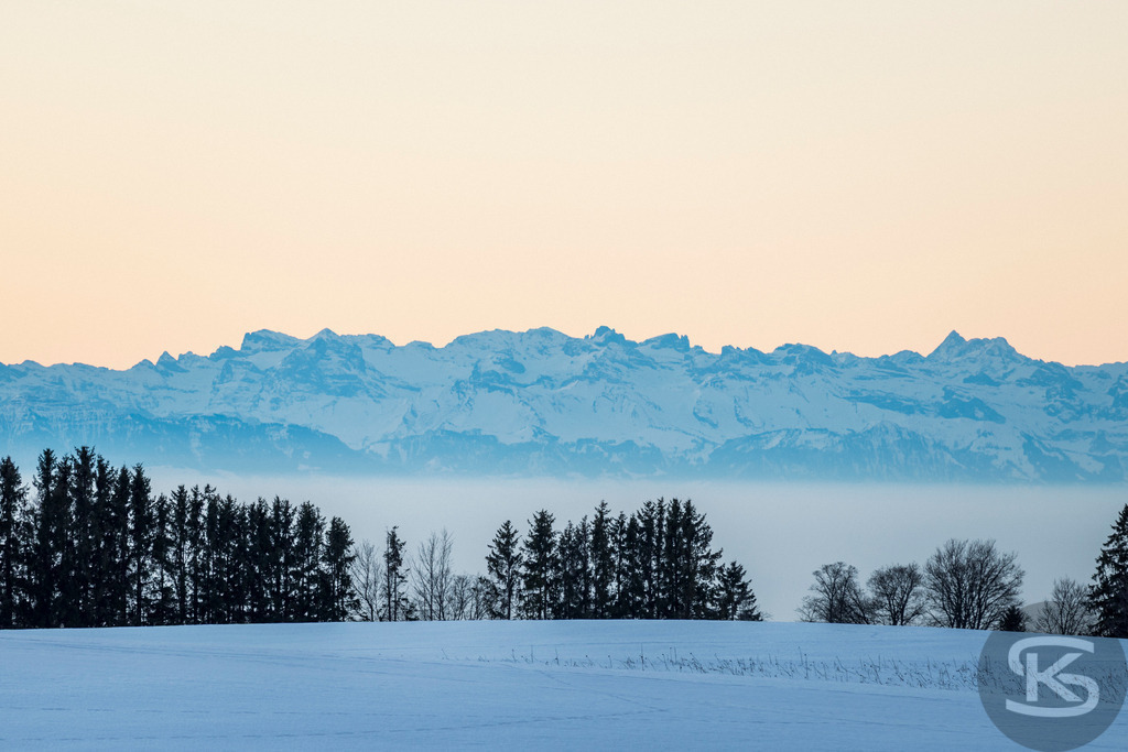 Alpenpanorama im Morgenrot – Nebelschwaden über bewaldeten Hügeln | Stimmungsvolle Landschaftsfotografie der Alpen im ersten Morgenlicht. Blaue Bergsilhouetten mit rosa Himmel, Nebelschwaden über bewaldeten Hügeln und majestätisches Alpenpanorama von Stefan Kuhn. - Realisiert mit Pictrs.com