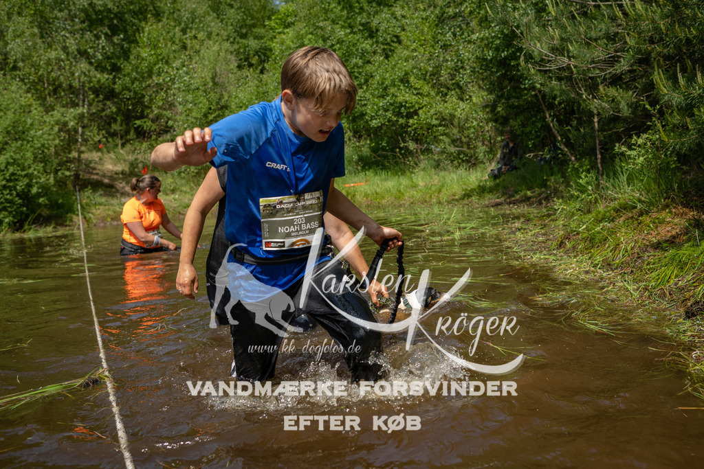 1255DKK993729 | kk-dogfotos